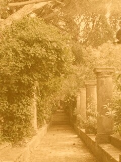 Галерея зимнего сада обои