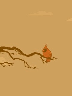 Красная птица на ветке обои