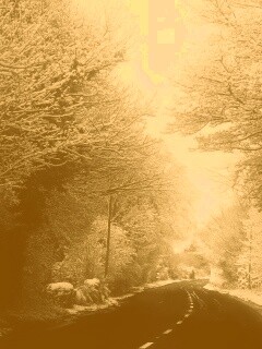 Дорога через зимний лес обои