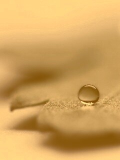 Капля на замёрзжем листе обои