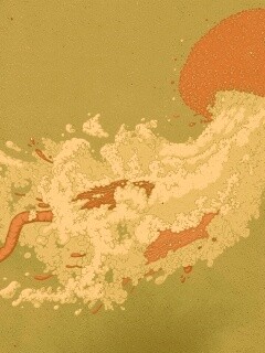 Розовая медуза обои