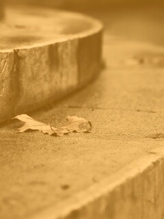 Лист на ступеньках обои