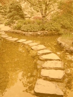 Дорожка через пруд обои