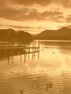 Причал на озере и утки обои