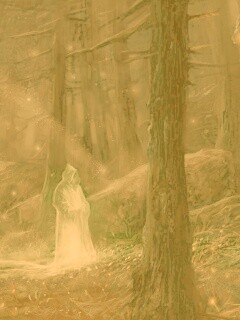 Маг света в лесу обои