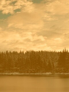 Лес на озере обои