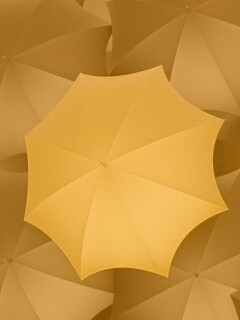 Жёлтый среди чёрных обои