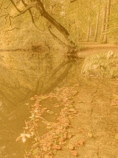 Пейзаж обои