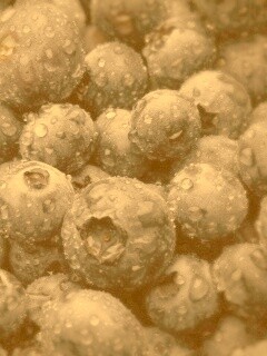 Свежая черника обои