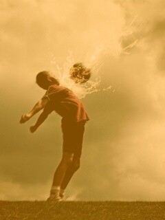 Отбил грудью обои