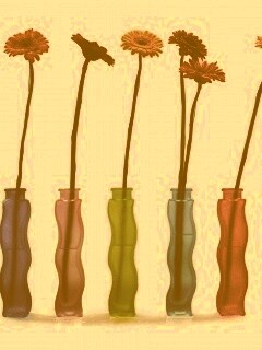 Герберы в изогнутых вазах обои