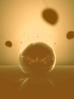 Оплодотворение обои