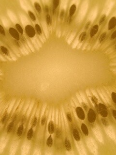 Макро фото киви в разрезе обои