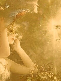 Птицы счастья обои