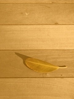 Лист на деревянном полу обои