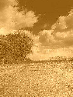 Дорога через поле обои