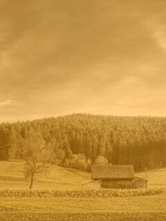 Домик в поле обои