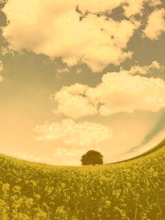 Искаженный мир обои