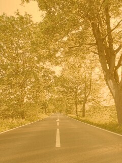 Прямая дорога обои