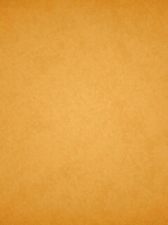 Бежевая стена обои