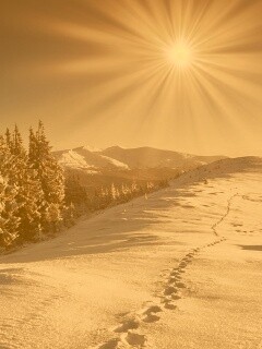 Холодные лучи зимнего солнца обои