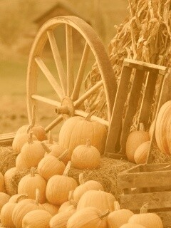 Урожай обои