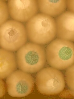 Карандаши обои