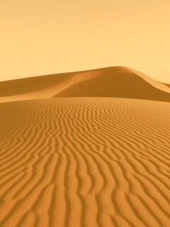 Красные барханы пустыни обои