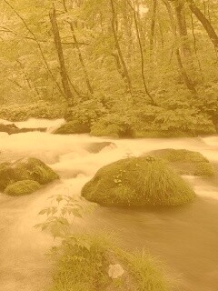 Лесная река обои