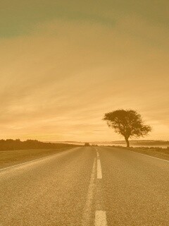 Дорога обои