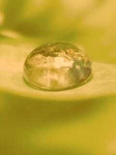 Целый мир в капле воды обои