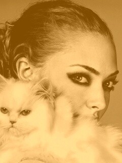 Девушка с кошкой обои