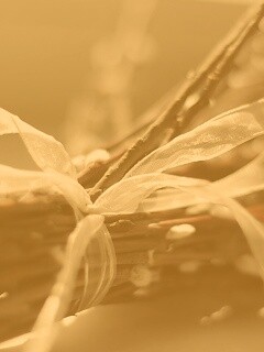 Букет вербы обои