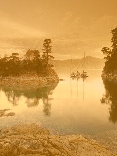 Яхты в заливе обои