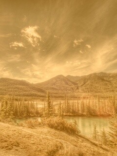 Болотистая местность обои