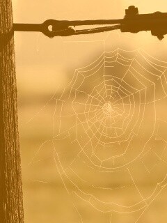 Паутина 51 обои