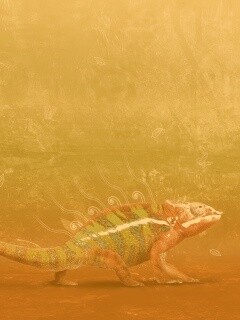 Хамелеон обои
