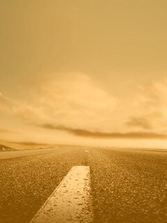 Дорога обои