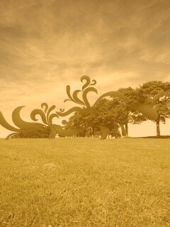 На равнине обои