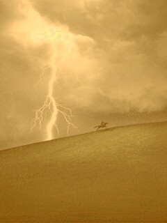 Всадник в буре обои