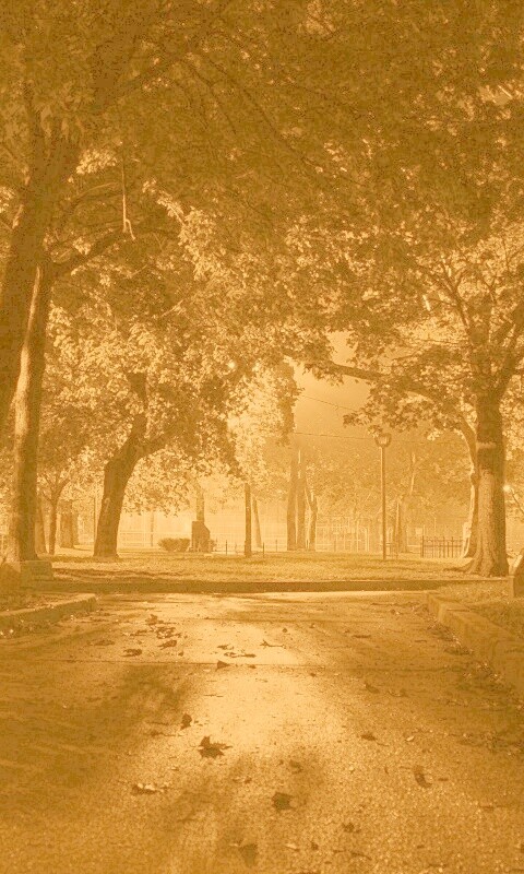 Ночной парк обои