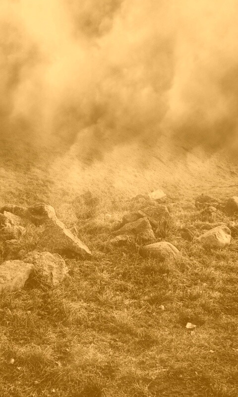 Туман на склоне обои