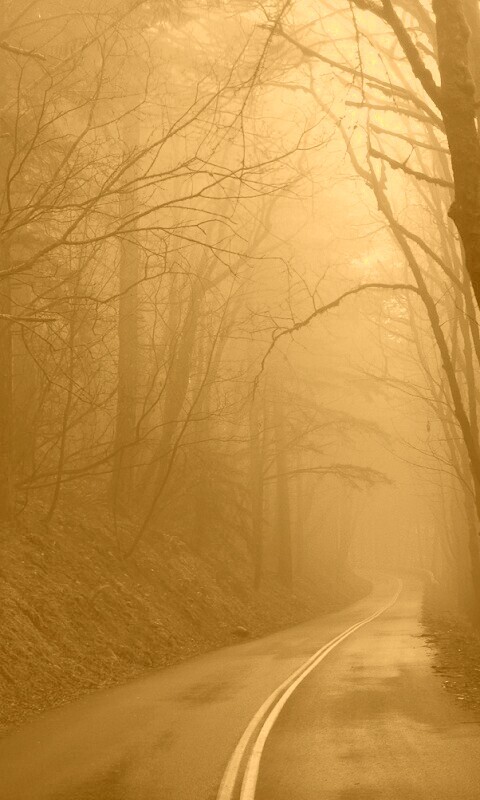 В туман обои