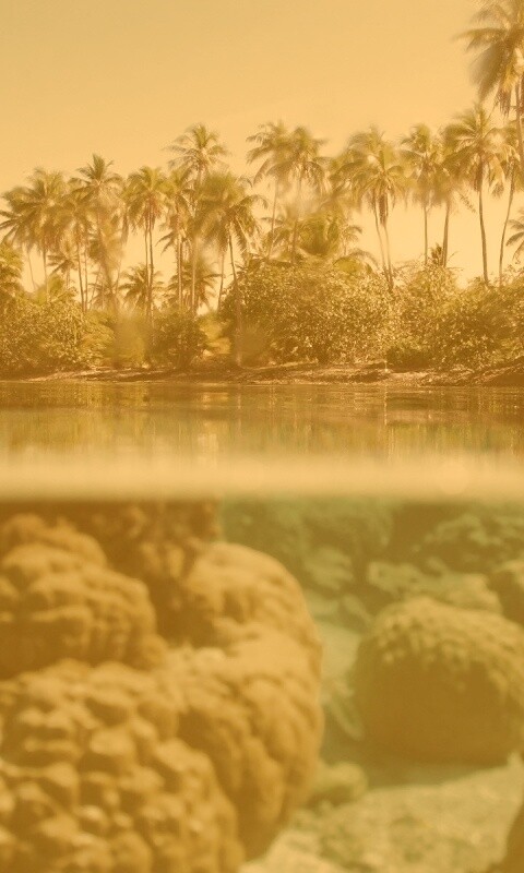 Из-под воды обои