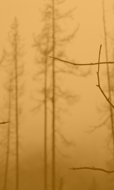 Безысходность обои