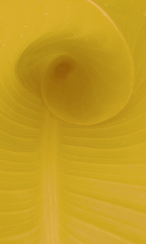 Свернутый в трубочку лист обои