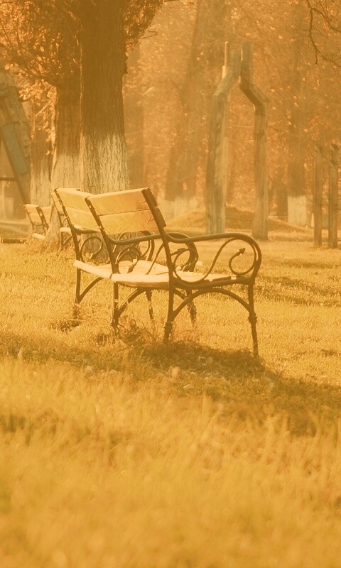 Скаймейка в осеннем парке обои