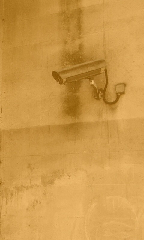 На что ты смотришь? обои