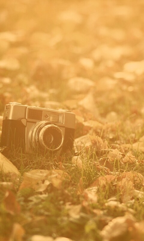Старый фотоаппарат в траве обои