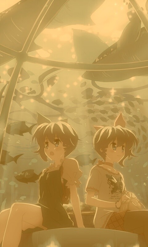 В океанариуме обои